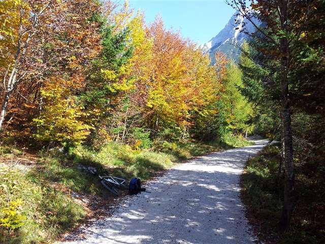 Das Leben verändern In der Natur finden Sie wieder zu sich selbst